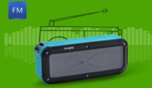 اسپیکر بلوتوث ضد آب دبلیو کینگ W-King Bluetooth Speaker | S20